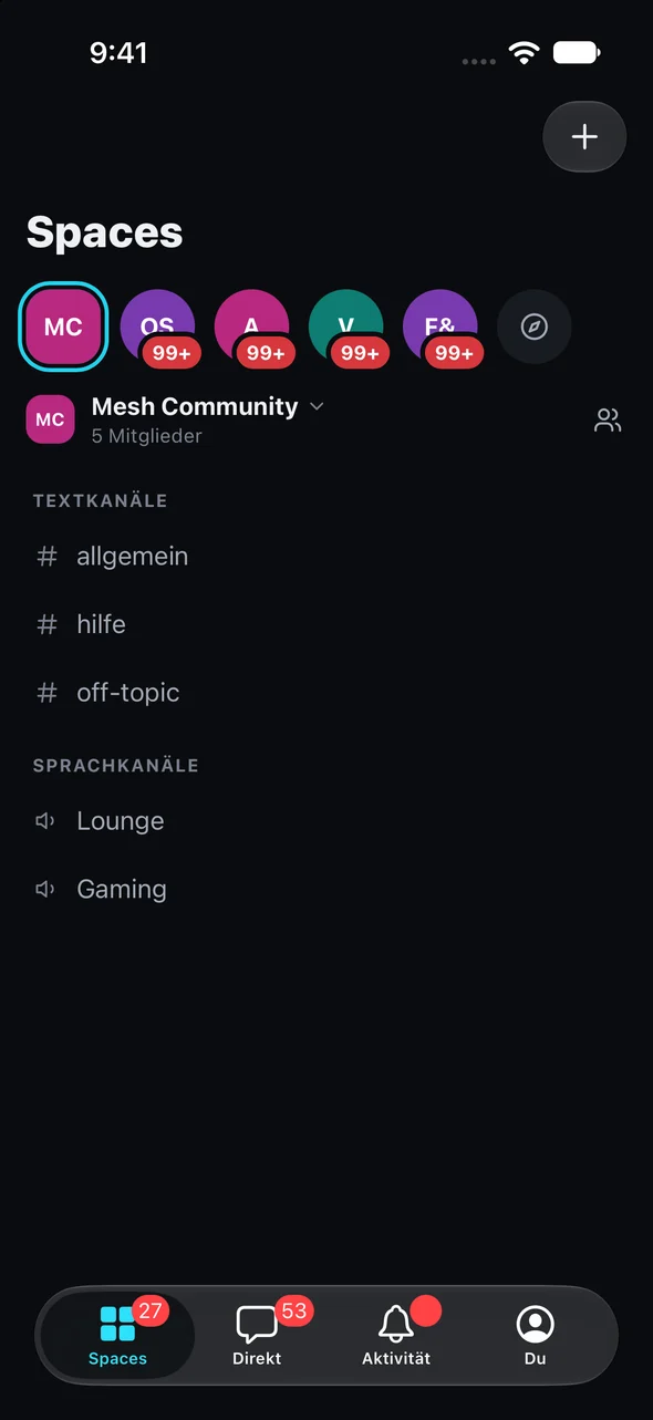Mesh auf dem iPhone: der Space mit Text- und Sprachkanälen